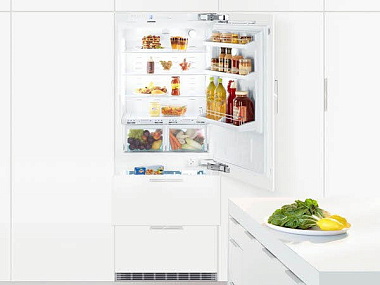 Холодильник Liebherr ECBN 5066 PpemiumPlus BioFresh NoFrost